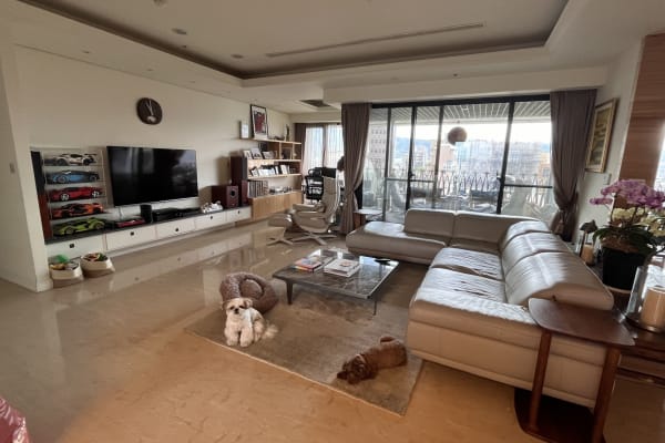 House sit in Taipei, Taiwan