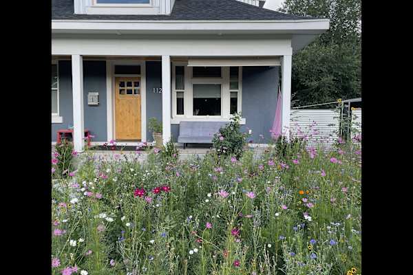 House sit in Salt Lake City, UT, US