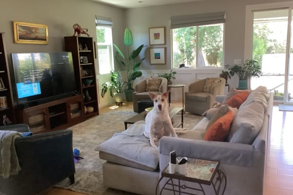 House sit in Phoenix, AZ, US