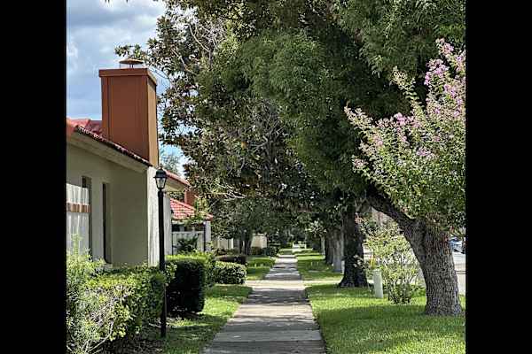 House sit in Orlando, FL, US