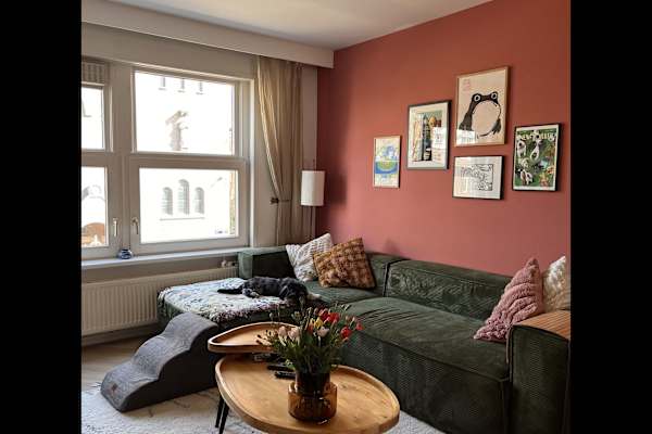 House sit in Amsterdam, Netherlands