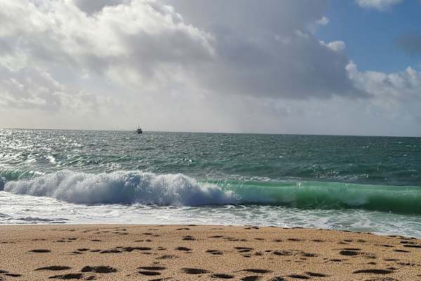 House sit in Nazaré, Portugal