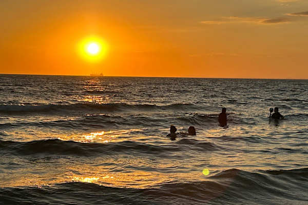 House sit in Melbourne, VIC, Australia