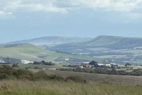 House sit in Lewes, United Kingdom