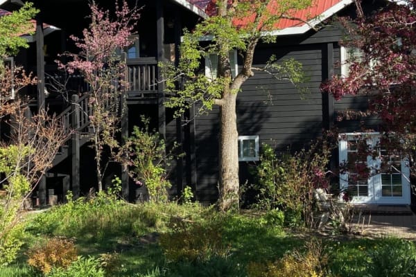 House sit in Sun Valley, ID, US