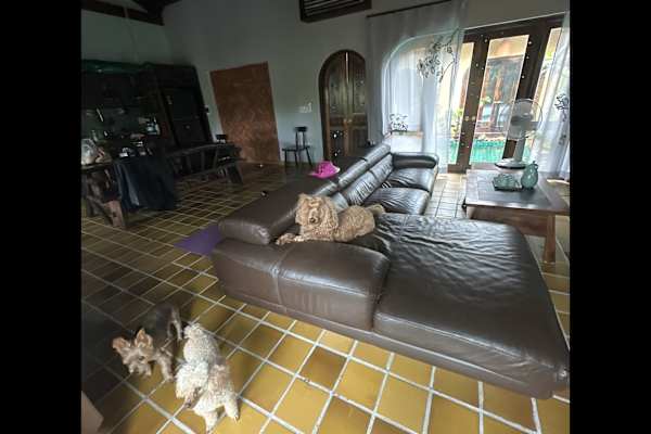 House sit in Hội An, Vietnam