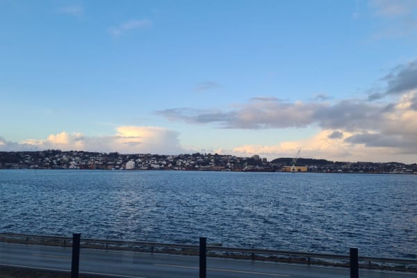 House sit in Sandnes, Norway