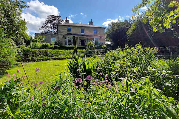 House sit in Salisbury, United Kingdom
