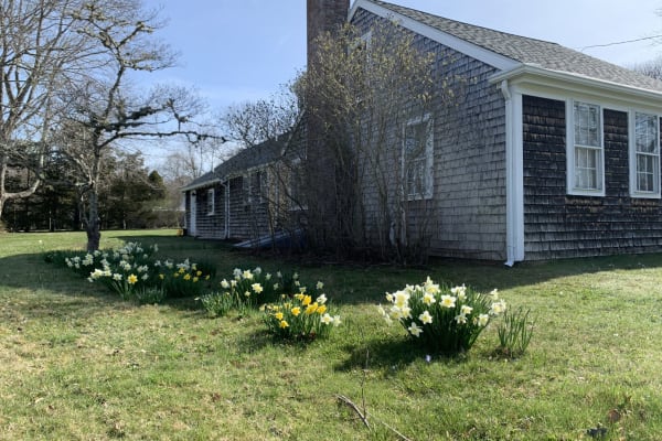 House sit in East Falmouth, MA, US