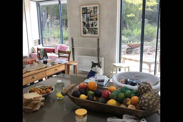 House sit in Mittagong, NSW, Australia