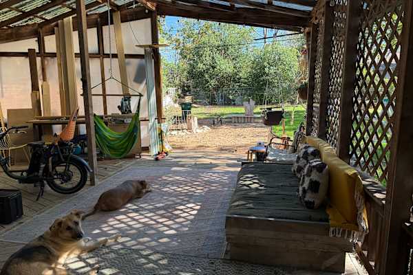 House sit in Austin, TX, US