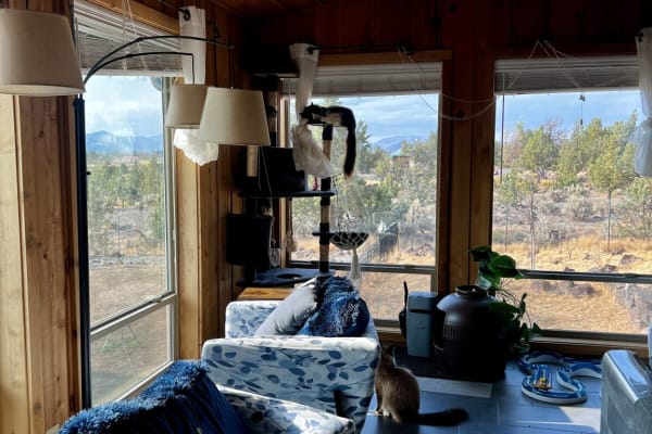 House sit in Powell Butte, OR, US