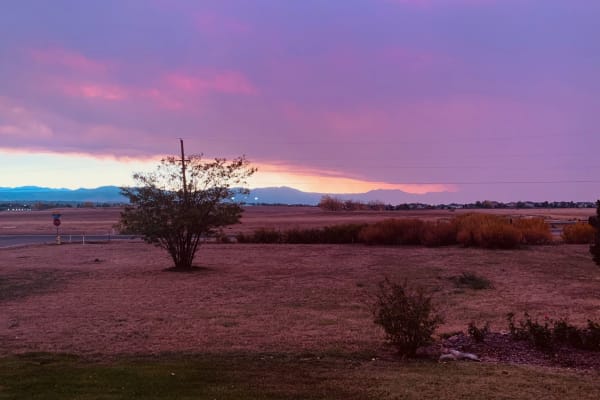 House sit in Broomfield, CO, US