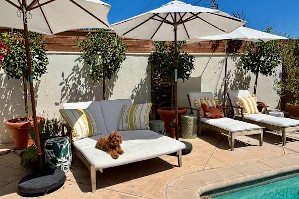 House sit in Costa Mesa, CA, US