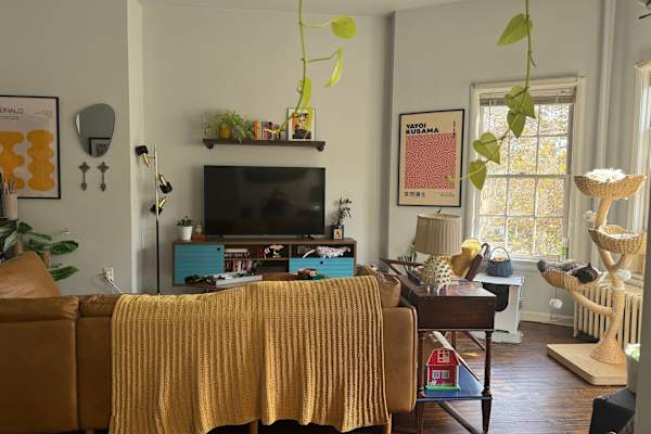 House sit in Washington, D.C., Washington, D.C., US