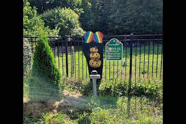 House sit in Burlington, VT, US