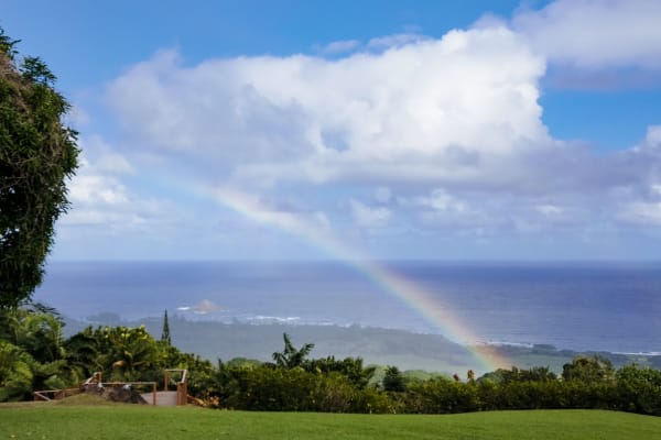 House sit in Paia, HI, US