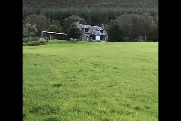 House sit in Keith, United Kingdom