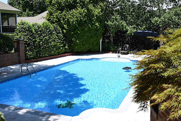 House sit in Raleigh, NC, US