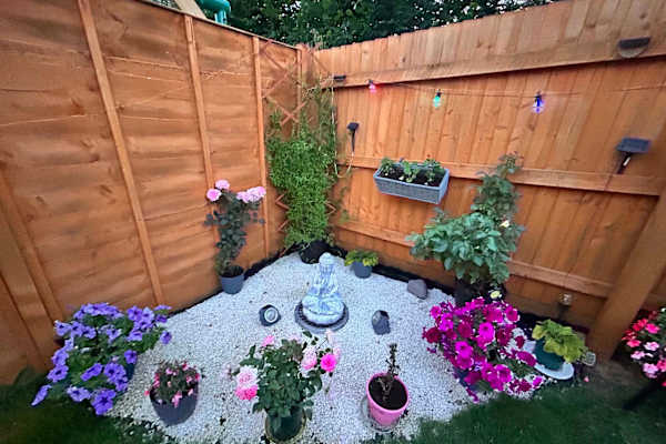 House sit in Malmesbury, United Kingdom