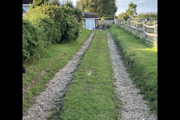 House sit in Shoreham-by-Sea, United Kingdom