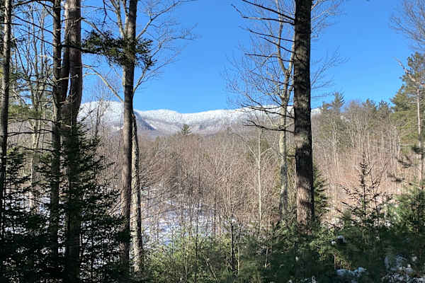 House sit in Wilmington, NY, US