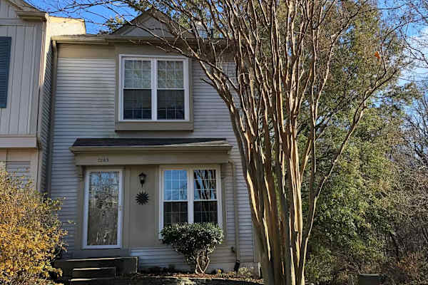 House sit in Alexandria, VA, US