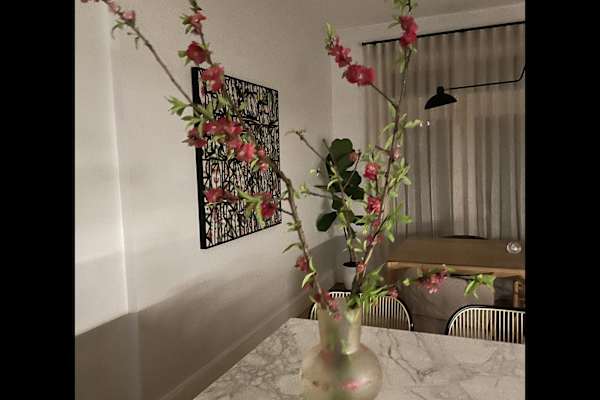 House sit in Sydney, NSW, Australia