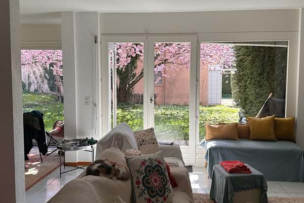House sit in Genève, Switzerland