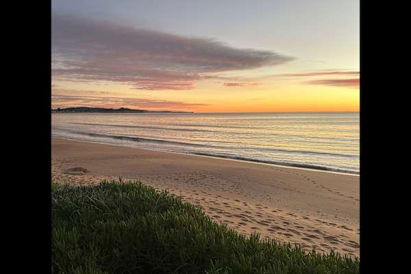 House sit in Sydney, NSW, Australia