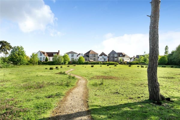 House sit in Wye, United Kingdom