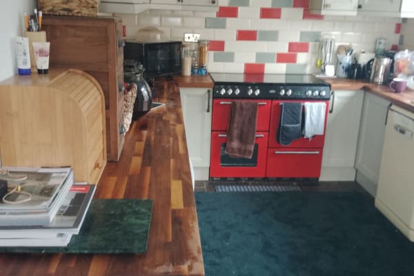 House sit in Herne Bay, United Kingdom