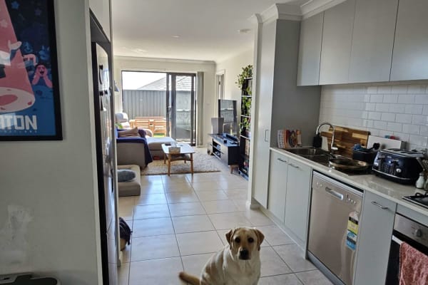 House sit in Sydney, NSW, Australia