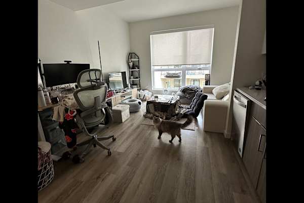 House sit in Hayward, CA, US