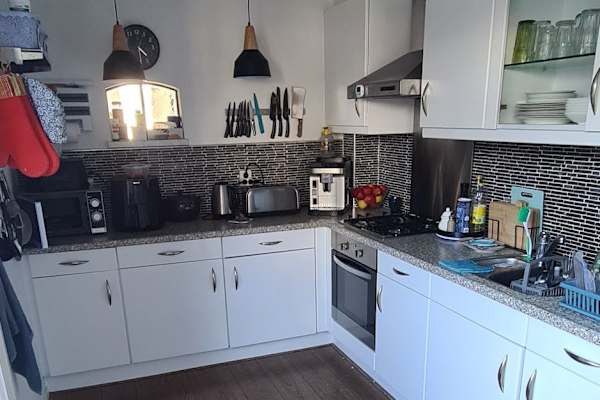 House sit in Woerden, Netherlands