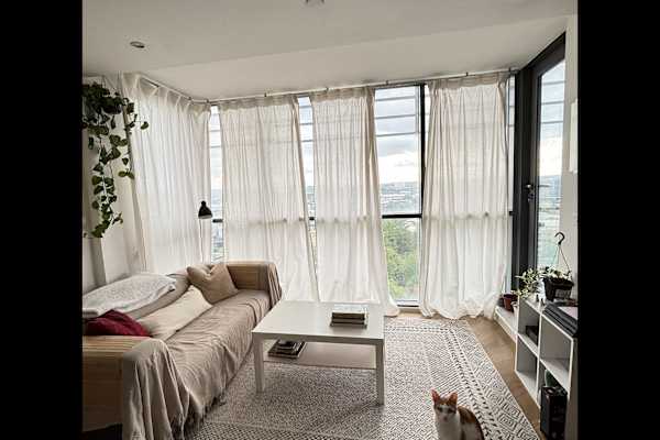 House sit in Leeds, United Kingdom