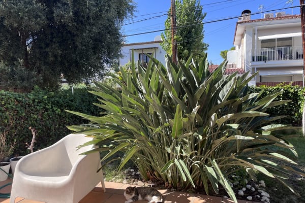 House sit in Sitges, Spain