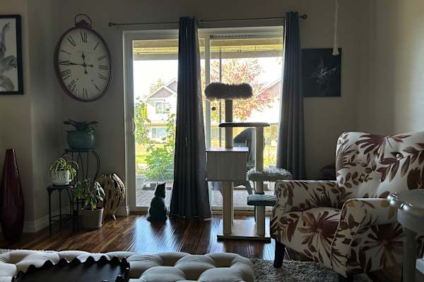 House sit in Liberty Lake, WA, US