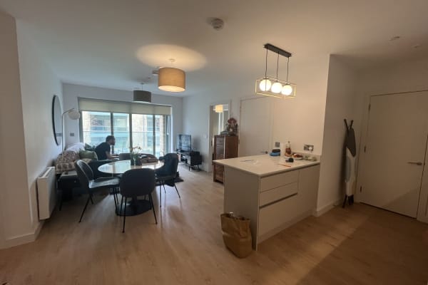 House sit in Dublin, Ireland