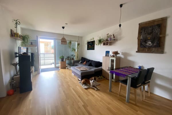 House sit in Graz, Austria