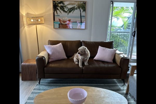 House sit in Gold Coast, QLD, Australia