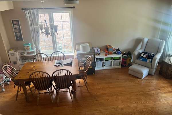House sit in Oakville, ON, Canada
