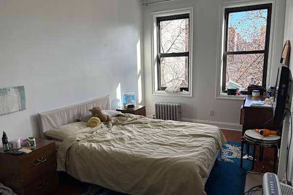 House sit in New York City, NY, US