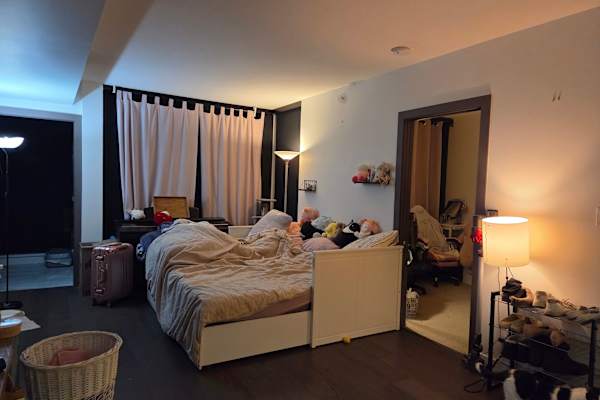 House sit in Vancouver, BC, Canada