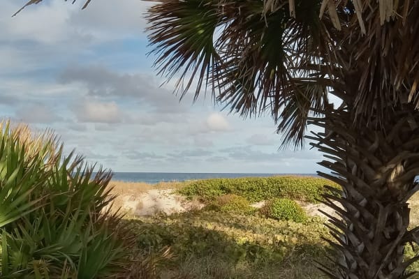 House sit in Delray Beach, FL, US