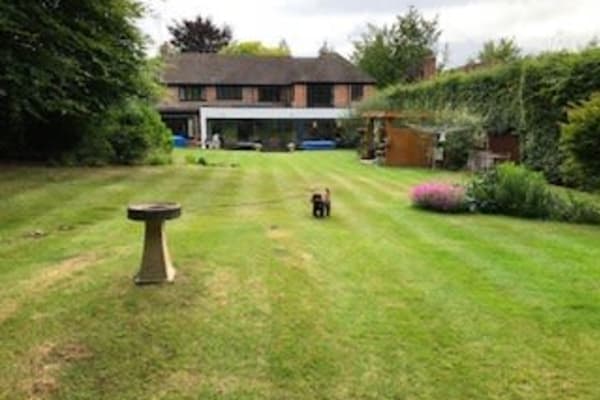 House sit in Guildford, United Kingdom