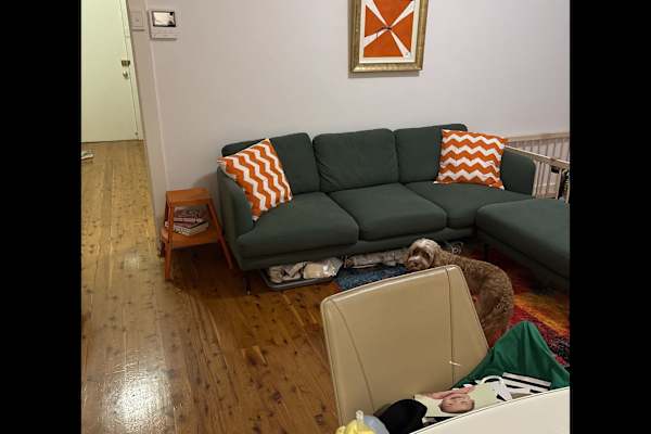 House sit in St Leonards, NSW, Australia