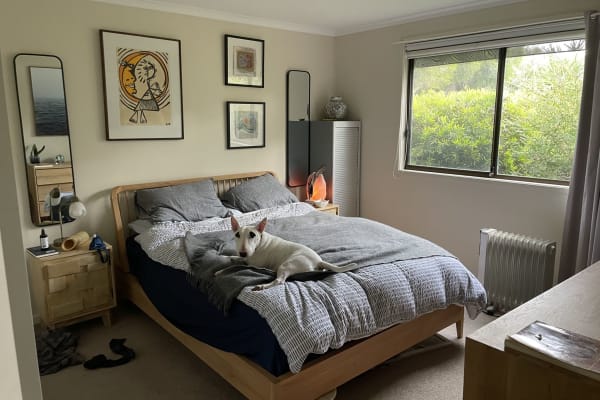 House sit in Torquay, VIC, Australia