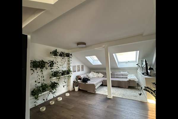 House sit in Frankfurt am Main, Germany