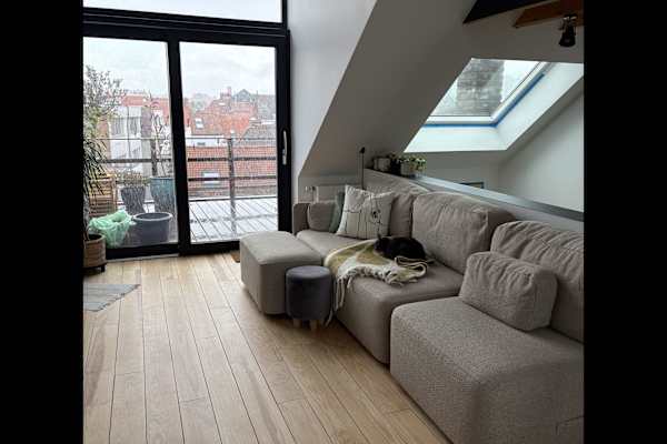 House sit in Brussels, Belgium